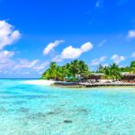 photo of seashore during daytime